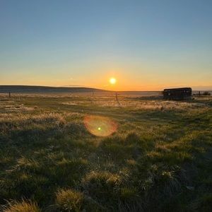 Meet your Posher, Riley